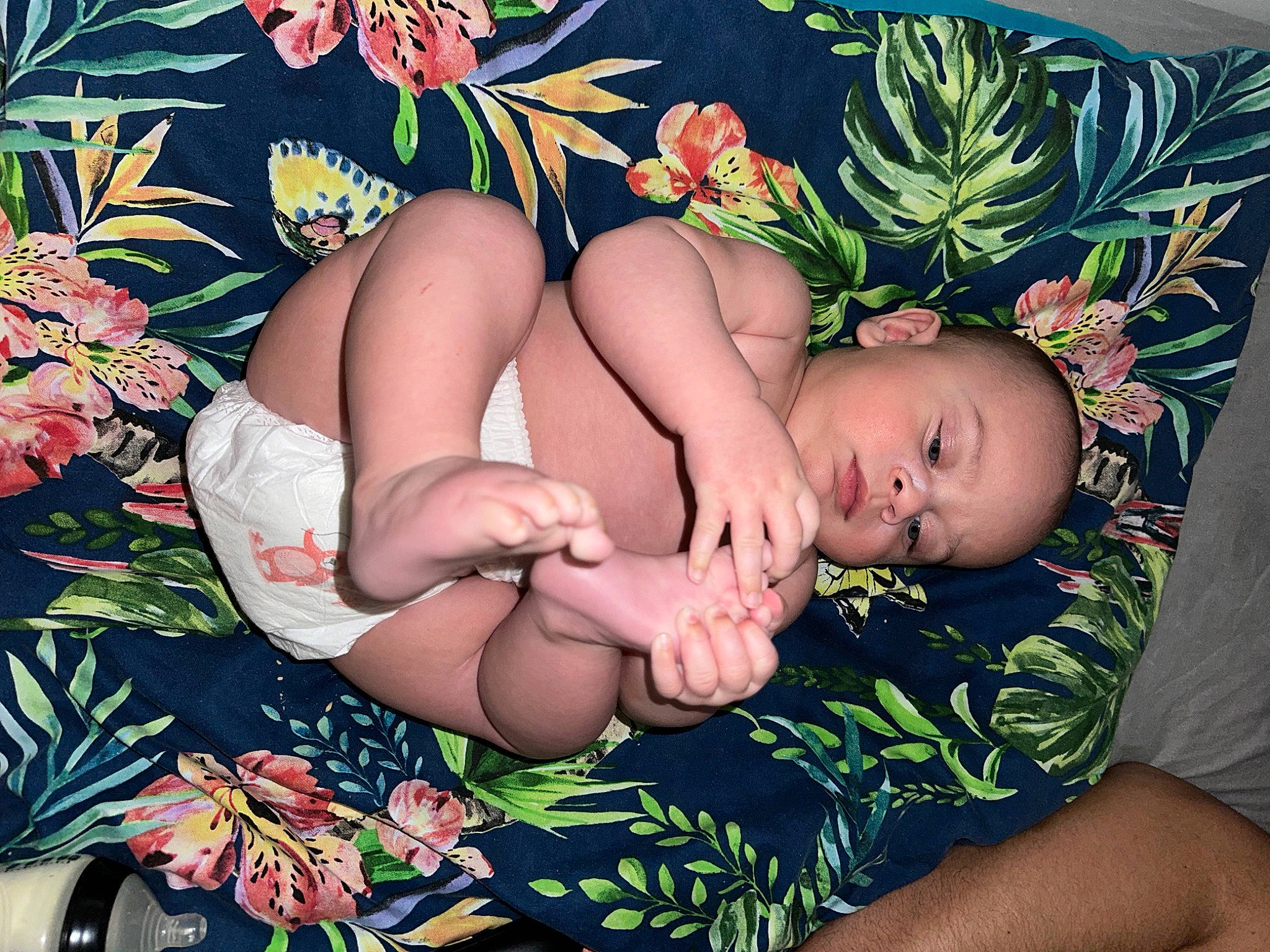 Enzo is registered to the contest to win money with this photo: abdomen, arm, art, baby, child, finger, flower, grass, happy, human_body, human_leg, leg, nail, pattern, people_in_nature, person, petal, plant, thigh, thumb