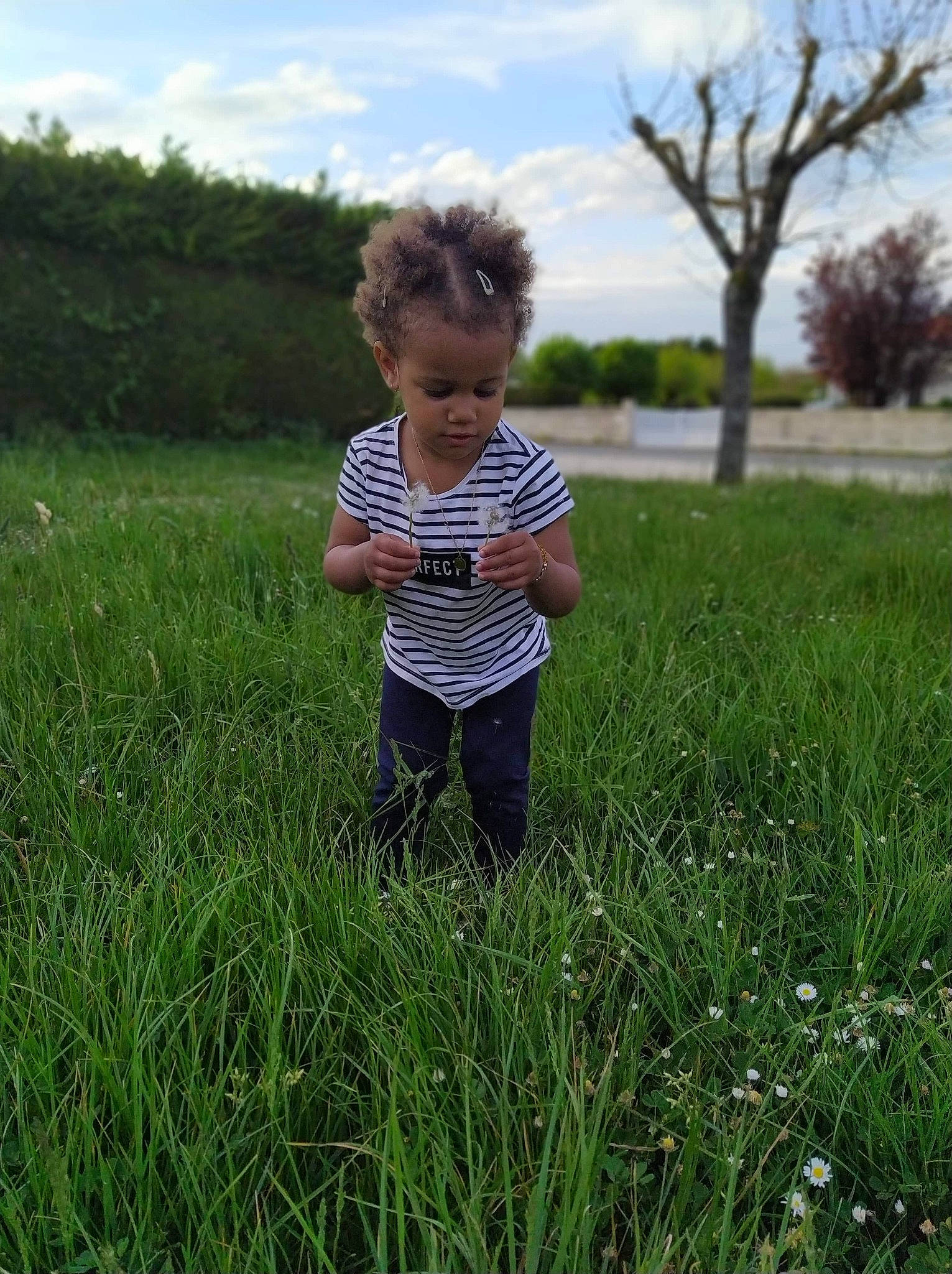 Wendy participe au concours pour gagner de l'argent avec cette photo : child, grass, grass_family, grassland, meadow, people_in_nature, person, plant, prairie, toddler