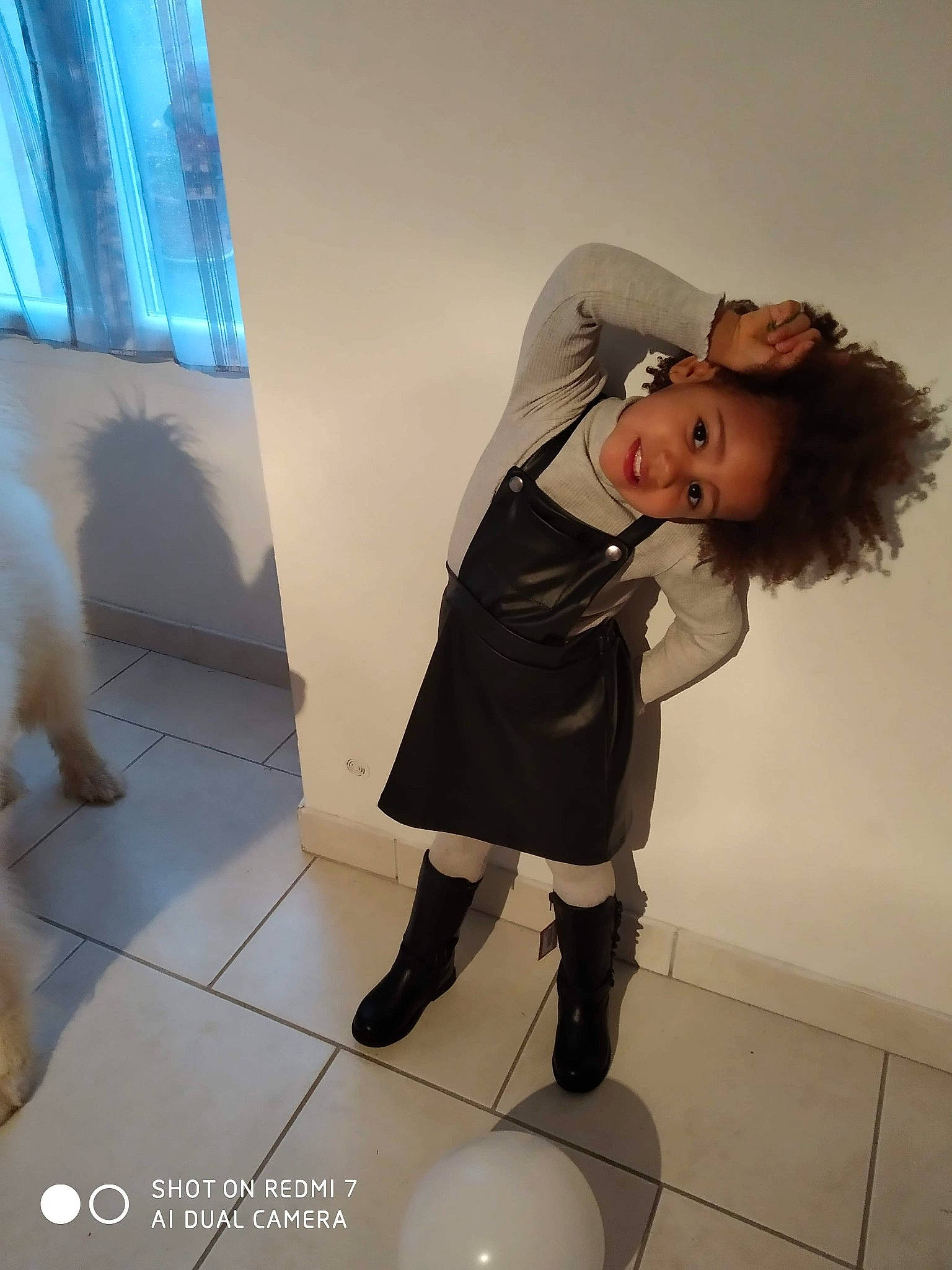 Wendy participe au concours pour gagner de l'argent avec cette photo : balloon, boot, canidae, carnivore, companion_dog, curtain, dog, dog_breed, flash_photography, fur, joy, knee, knee_high_boot, non_sporting_group, person, photo_shoot, sporting_group, tights, tile, tile_flooring