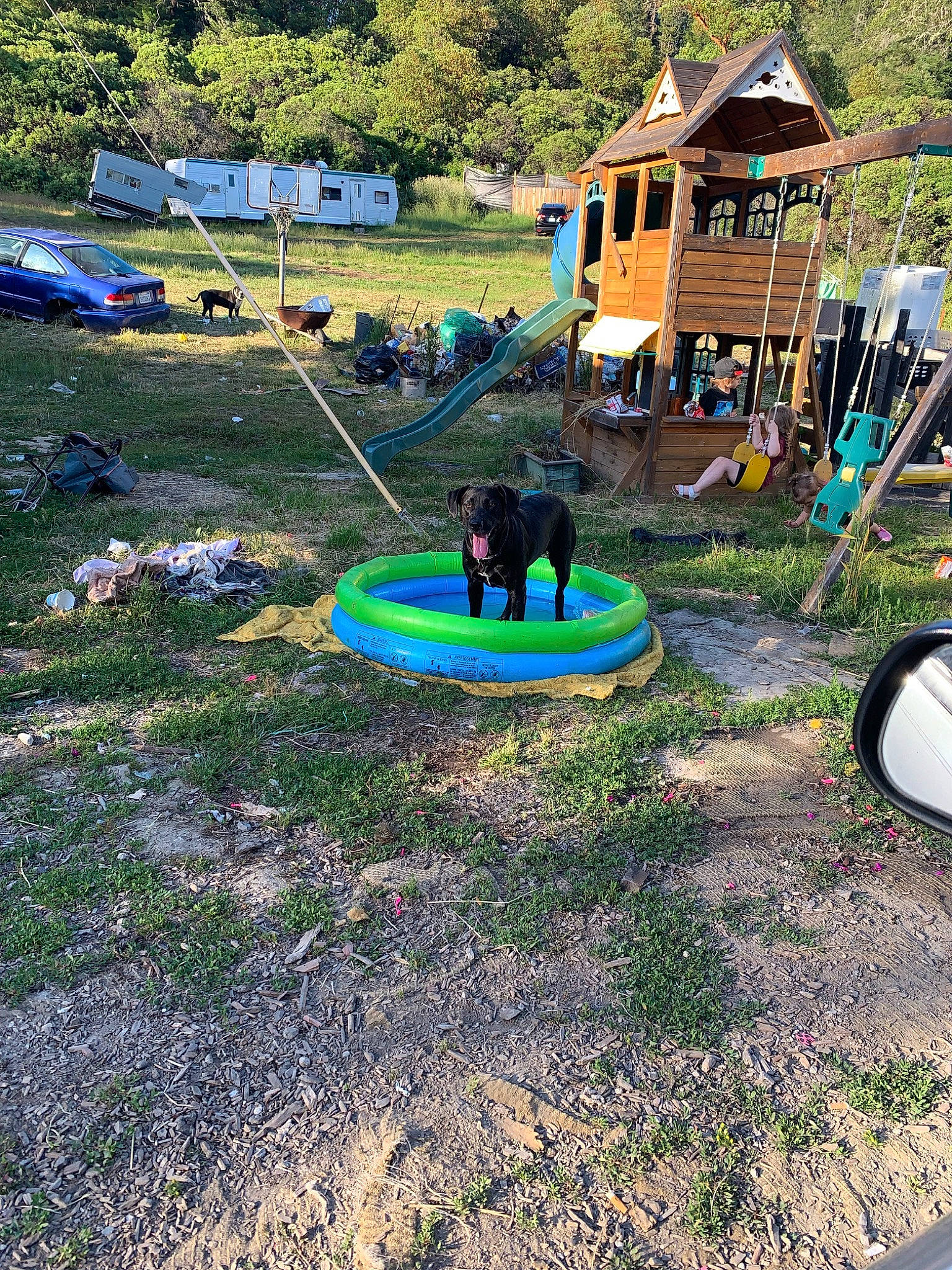 Doja joined the competition — help win amazing prizes! asphalt, building, chute, city, fun, garden, grass, grassland, groundcover, landscape, landscaping, lawn, leisure, outdoor_play_equipment, plant, recreation, slope, soil, tree, vehicle