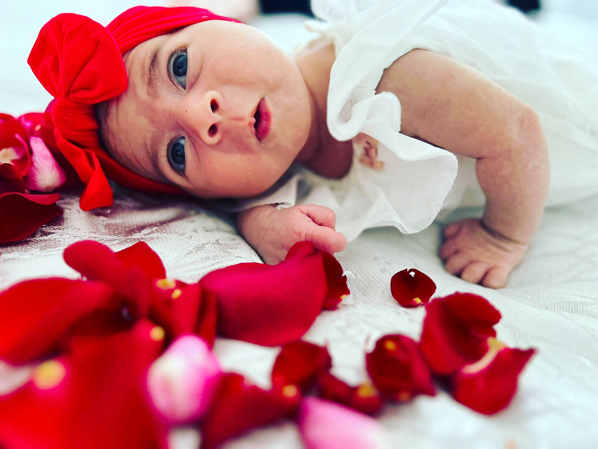 Lucie a rejoint le concours — aidez-le/la à gagner de superbes lots ! baby, baby_toddler_clothing, child, close_up, cut_flowers, doll, dress, event, gesture, happy, headwear, lip, nail, person, petal, pink, red, rose, rose_family, sweetness