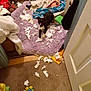 animal, black_and_white, blanket, carpet, chewed, dog, door, floor, indoor, lying_down, mess, pet, playful, puppy, room, rug, small_dog, stuffed_toy, torn_paper, toy