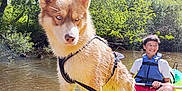 Oslo a rejoint le concours — aidez-le/la à gagner de superbes lots ! dog, boy, kayak, water, river, life_vest, tree, forest, sunlight, outdoor, smile, summer, nature, pet, animal, adventure, recreation, paddle, water_sport, happy