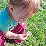 child, toddler, grass, dandelion, outdoor, sunlight, curious, nature, greenery, casual_clothing, crouching, young_child, daylight, playing, blond_hair, short_sleeves, red_pants, exploring, close_up, person
