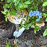 cat, calico_cat, animal, pet, feline, garden, outdoor, leaves, foliage, flowers, blue_flowers, soil, nature, whiskers, yellow_eyes, pink_nose, portrait, curious, camouflage, close_up
