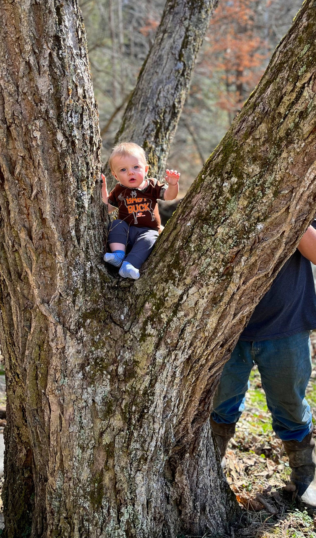 William Nicholas joined the competition — help win amazing prizes! adaptation, adventure, branch, electric_blue, forest, fun, happy, leisure, people_in_nature, person, plant, recreation, smile, standing, toddler, tree, trunk, twig, wood, woodland