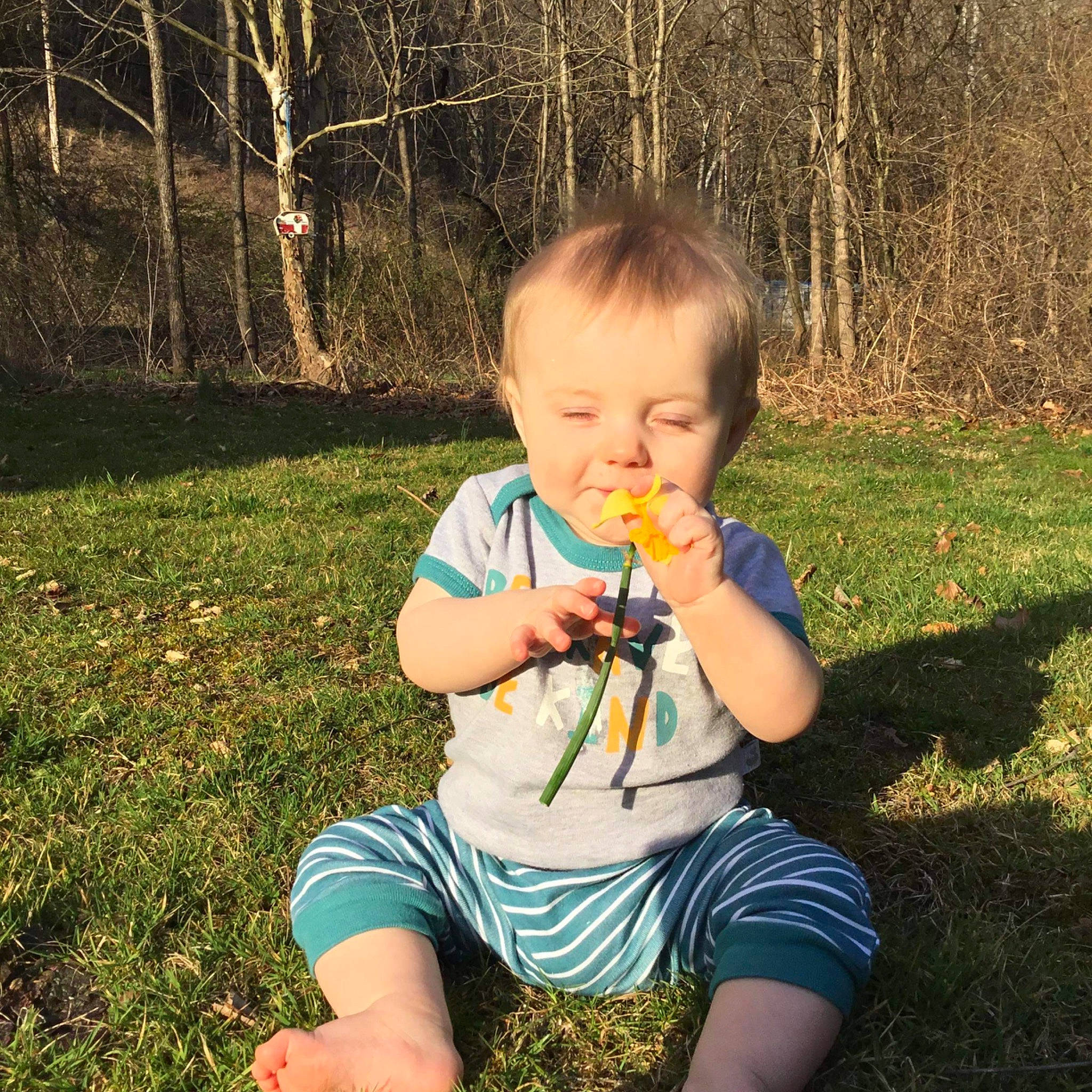William Nicholas joined the competition — help win amazing prizes! baby, baby_toddler_clothing, cheek, child, fun, grass, grass_family, happy, lawn, leisure, nature, people_in_nature, person, plant, sitting, spring, sunlight, thumb, toddler, tree