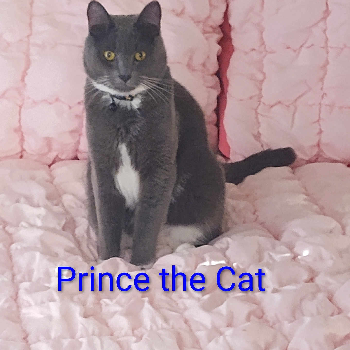 Prince
