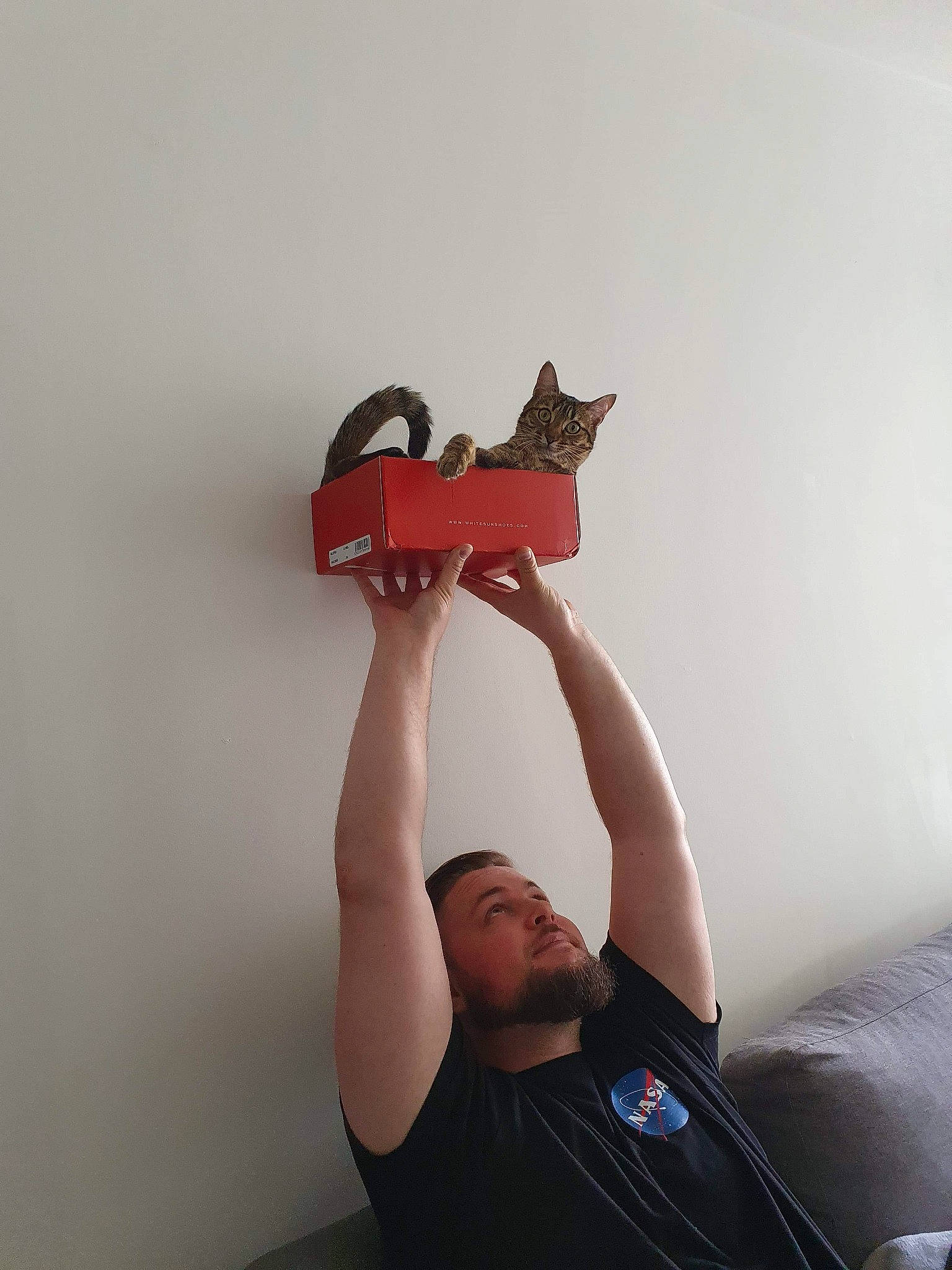 Izzy a rejoint le concours — aidez-le/la à gagner de superbes lots ! audio_equipment, bag, carmine, ceiling, elbow, fashion_accessory, fun, gadget, gesture, human_leg, knee, personal_protective_equipment, sitting, sleeve, t_shirt, thigh, top, toy, trunk, wood