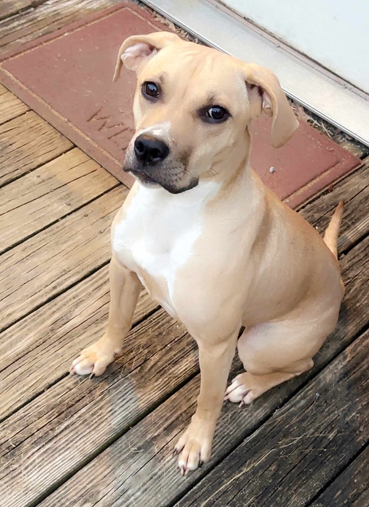 Maliyah