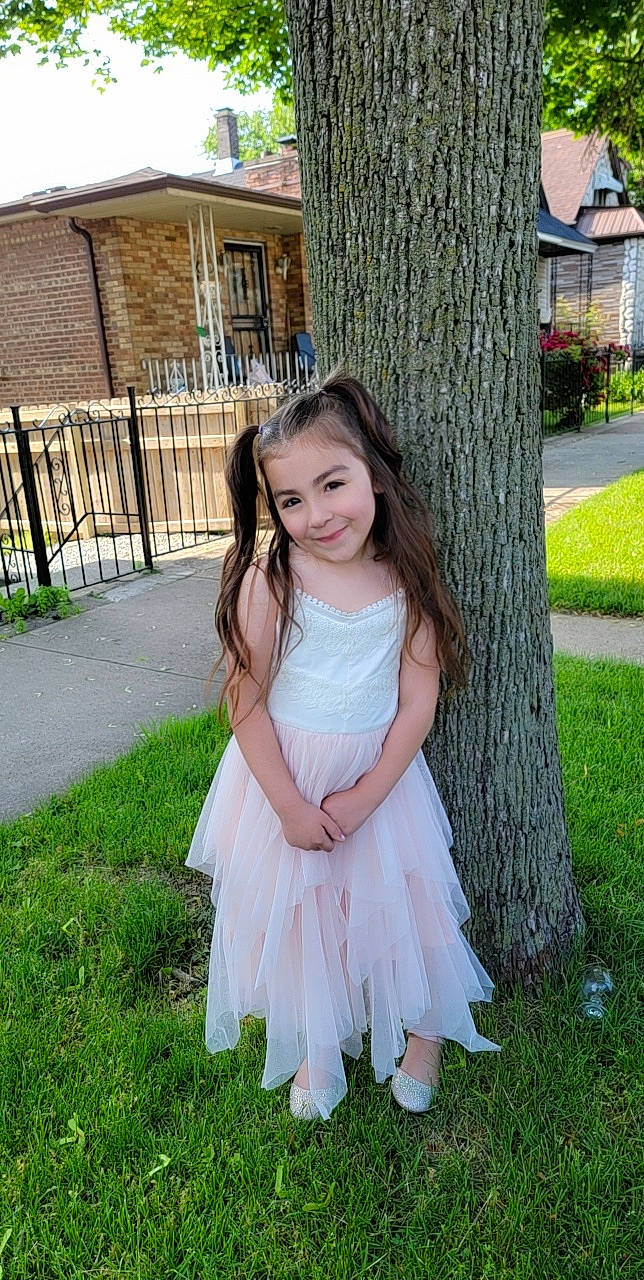 Angelina is registered to the contest to win money with this photo: bridal_clothing, bridal_party_dress, day_dress, dress, eye, face, formal_wear, fun, grass, hair, happy, head, joy, people_in_nature, person, plant, skin, smile, toddler, tree