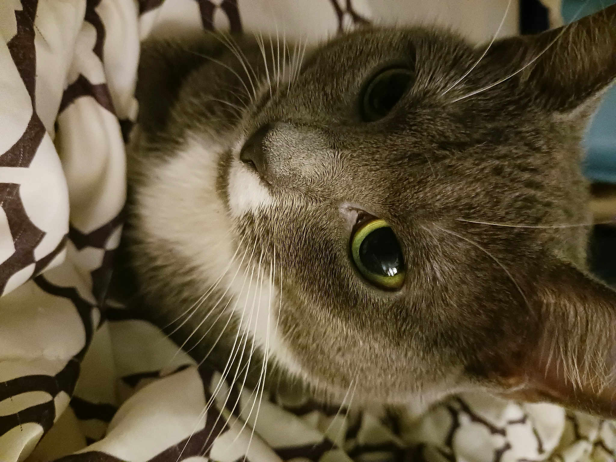Smokey