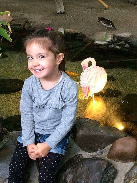 Lisa a rejoint le concours — aidez-le/la à gagner de superbes lots ! bird, child, fun, girl, joy, person, play, recreation, smile, toddler, vacation, vertebrate, water, water_bird