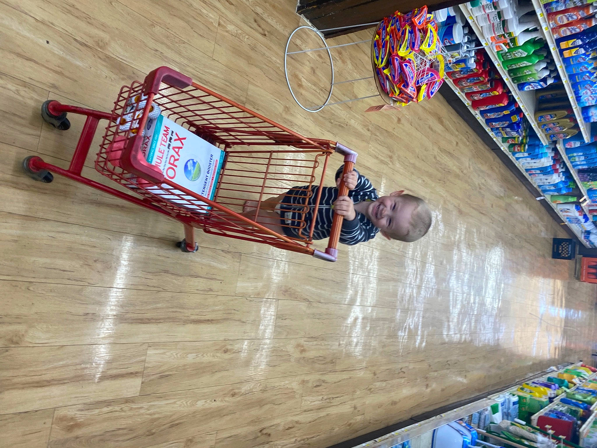 Nolan joined the competition — help win amazing prizes! building, flooring, fun, hardwood, joy, leisure, person, plywood, recreation, retail, room, varnish, visual_arts, wood, wood_flooring, wood_stain