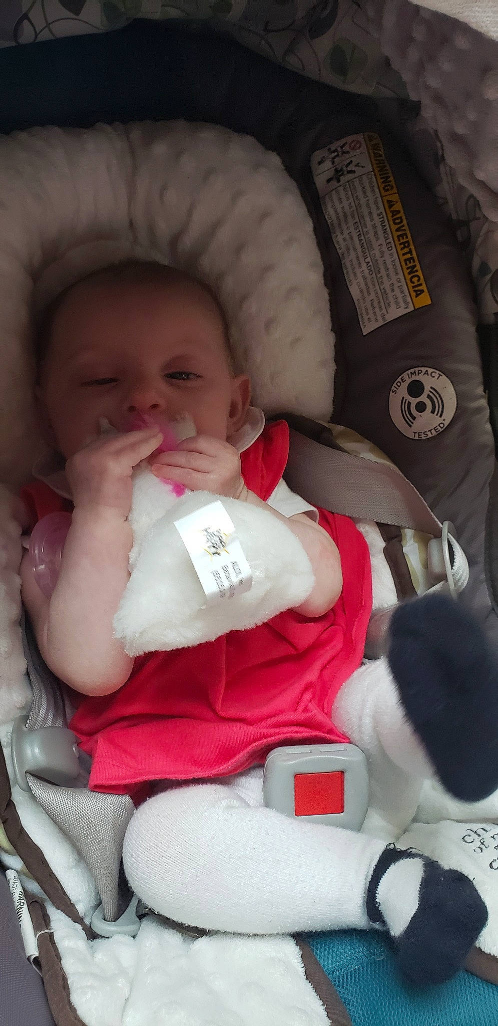 Elouise is registered to the contest to win money with this photo: baby, baby_carriage, baby_in_car_seat, baby_products, car_seat, child, person, product, toddler