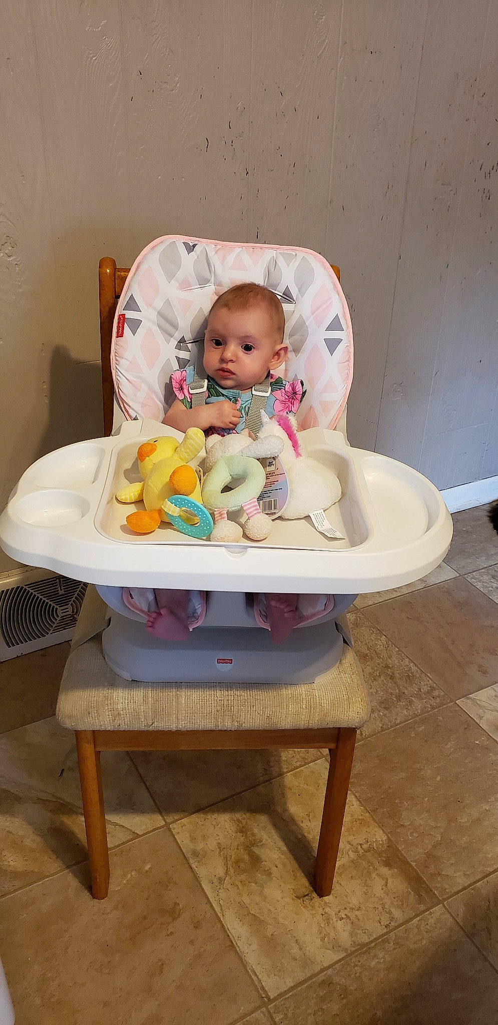 Elouise is registered to the contest to win money with this photo: baby, child, furniture, person, product, sitting, toddler