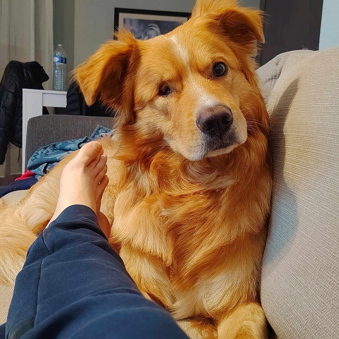 Marley