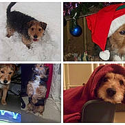 Thoby a rejoint le concours — aidez-le/la à gagner de superbes lots !