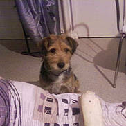 Thoby participe au concours pour gagner de l'argent avec cette photo :