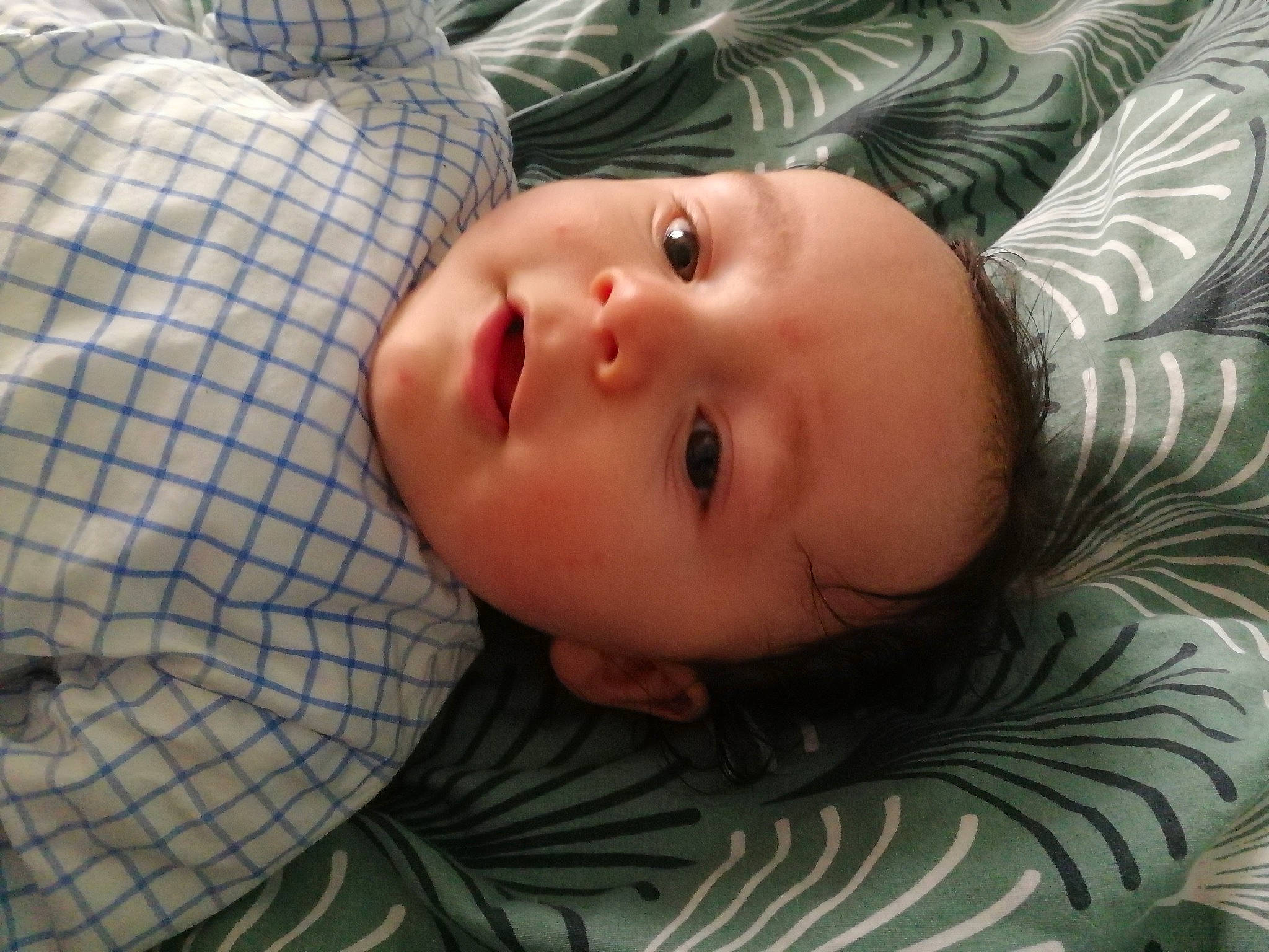 Yaël a rejoint le concours — aidez-le/la à gagner de superbes lots ! baby, baby_toddler_clothing, cheek, chin, comfort, eye, eyebrow, eyelash, face, grass, head, human_body, iris, lip, mouth, nose, person, skin, textile, toddler