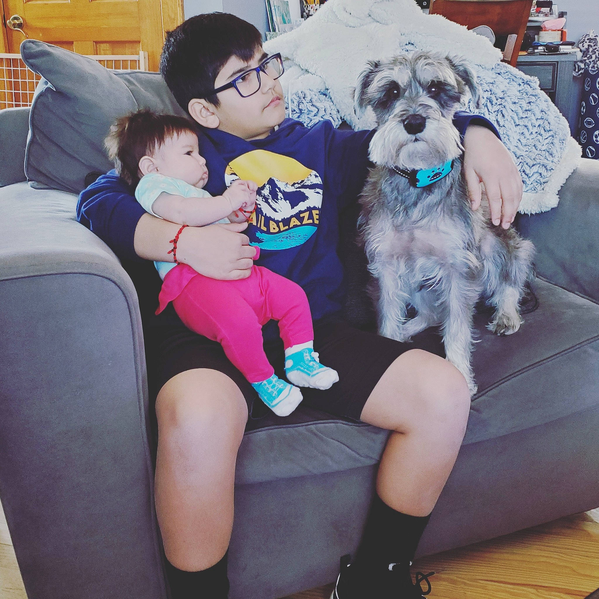 Eliana is registered to the contest to win money with this photo: canidae, carnivore, comfort, companion_dog, couch, dog, dog_breed, fur, human, interaction, lap, leg, love, person, sitting, small_terrier, sock, terrier, thigh, toddler