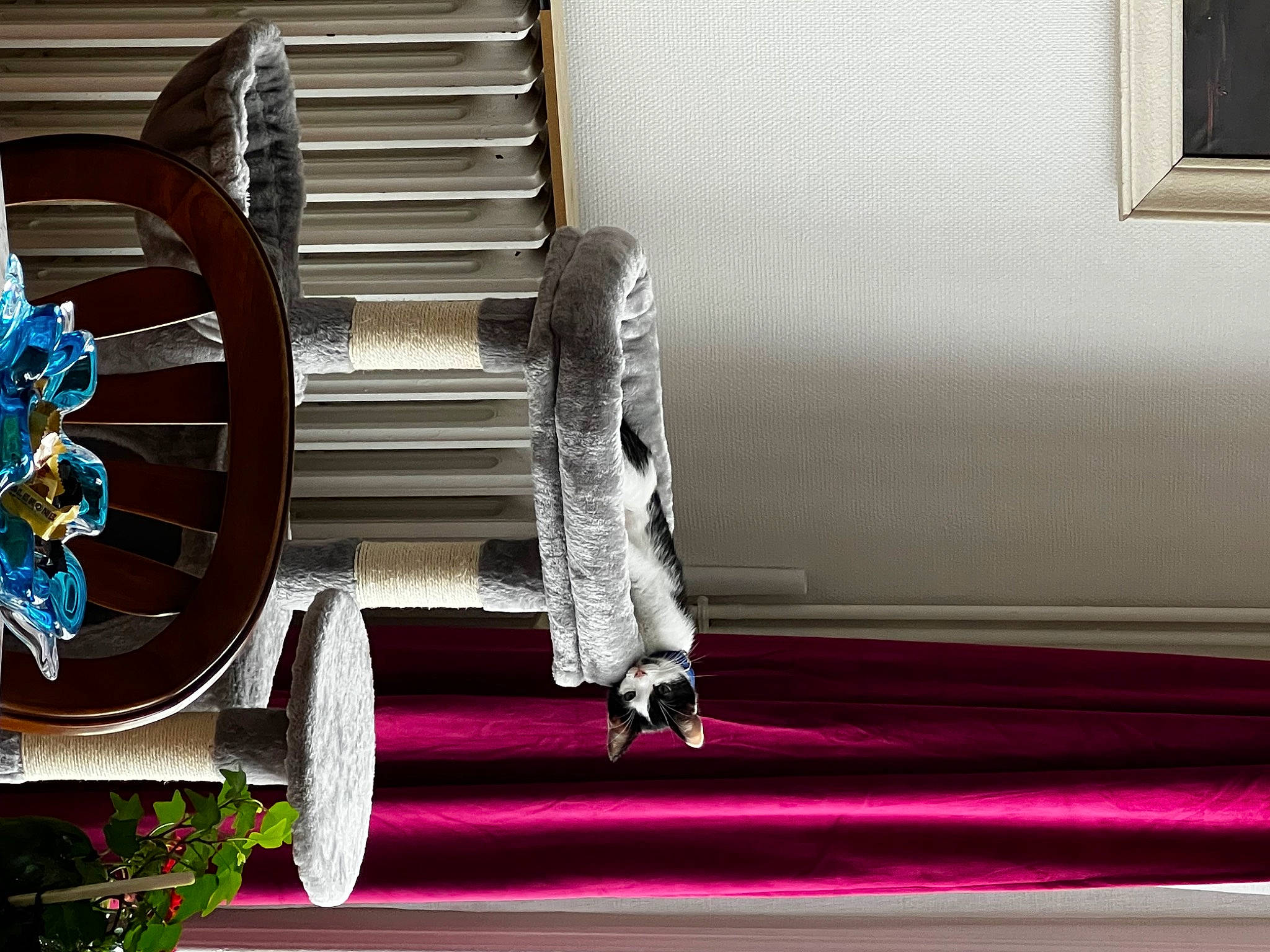 Maylon a rejoint le concours — aidez-le/la à gagner de superbes lots ! art, auto_part, bell, fixture, flooring, gas, hardwood, idiophone, machine, magenta, metal, musical_instrument, plant, rectangle, steel, still_life_photography, tints_and_shades, wheel, window, wood