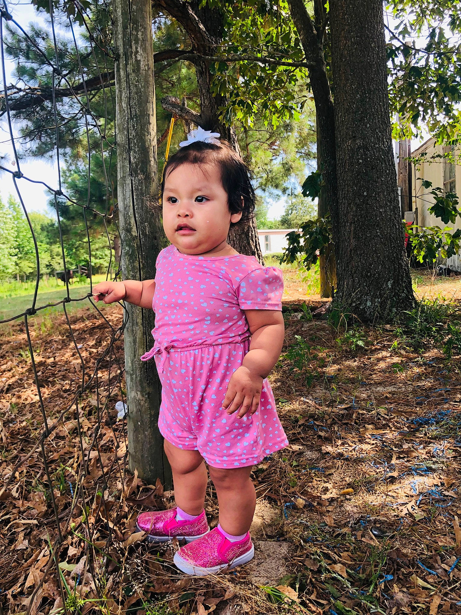 Katherine is registered to the contest to win money with this photo: baby_toddler_clothing, beauty, botany, child, clothing, day_dress, dress, fun, grass, happy, leisure, magenta, people_in_nature, person, pink, plant, sleeve, tints_and_shades, toddler, tree