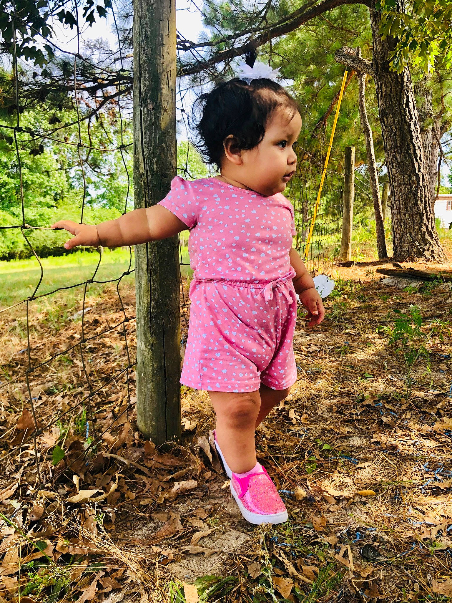 Katherine joined the competition — help win amazing prizes! baby_toddler_clothing, botany, child, forest, fun, grass, grassland, happy, leisure, magenta, people_in_nature, person, plant, play, recreation, soil, t_shirt, terrestrial_plant, toddler, tree