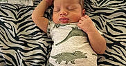 Dakota joined the competition — help win amazing prizes! baby, infant, sleeping, dinosaur_onesie, blanket, zebra_pattern, cute, peaceful, child, newborn, clothing, sock, resting, lying_down, soft, portrait, indoors, cozy, small, adorable