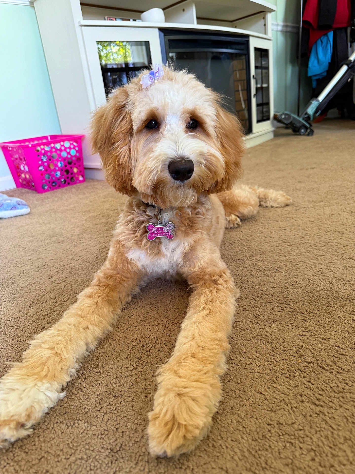 Bella