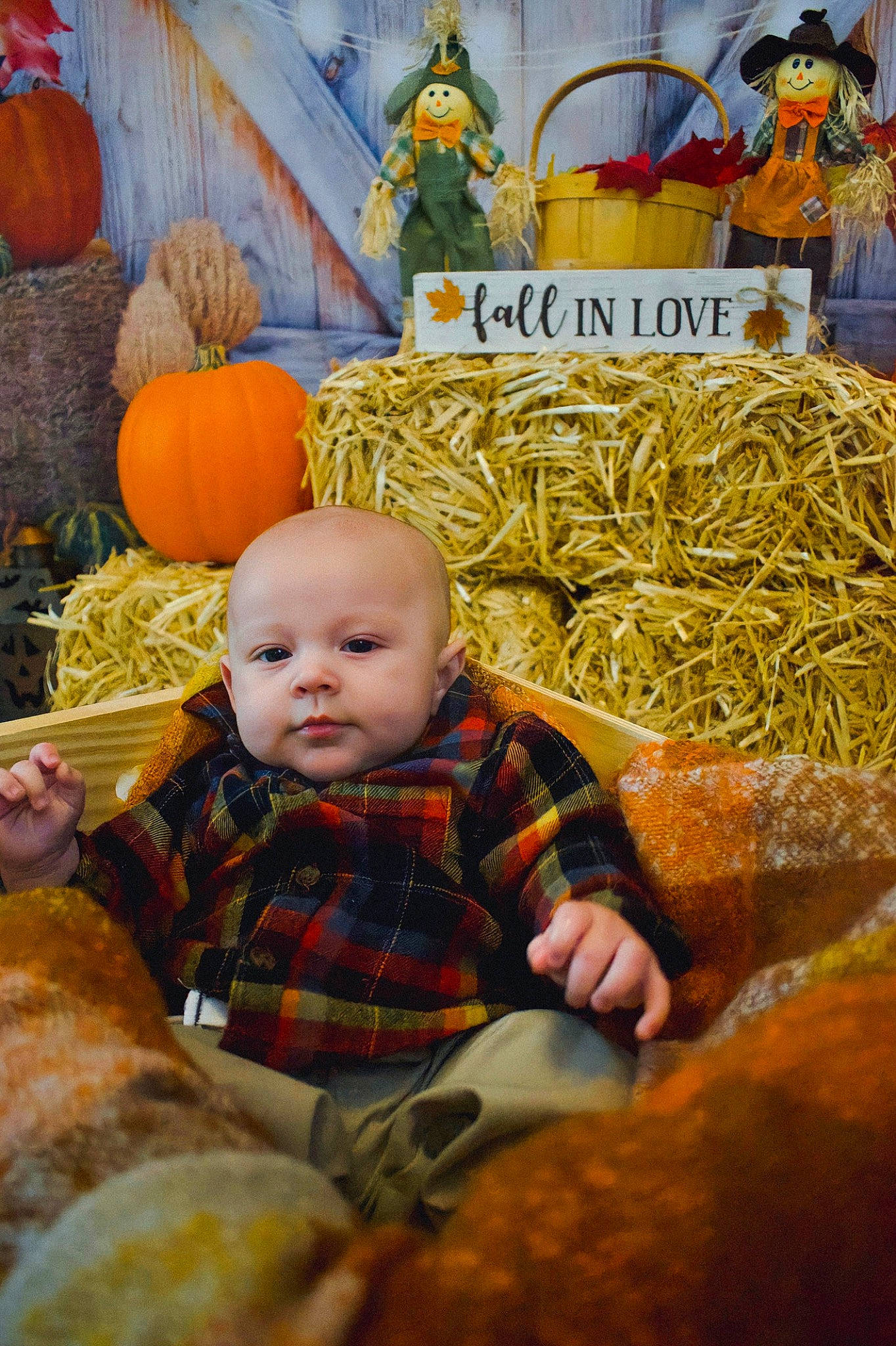 Westyn joined the competition — help win amazing prizes! baby, baby_toddler_clothing, calabaza, child, cucurbita, gourd, grass, local_food, natural_foods, orange, person, plaid, plant, pumpkin, sitting, tartan, toddler, vegetable, whole_food, winter_squash