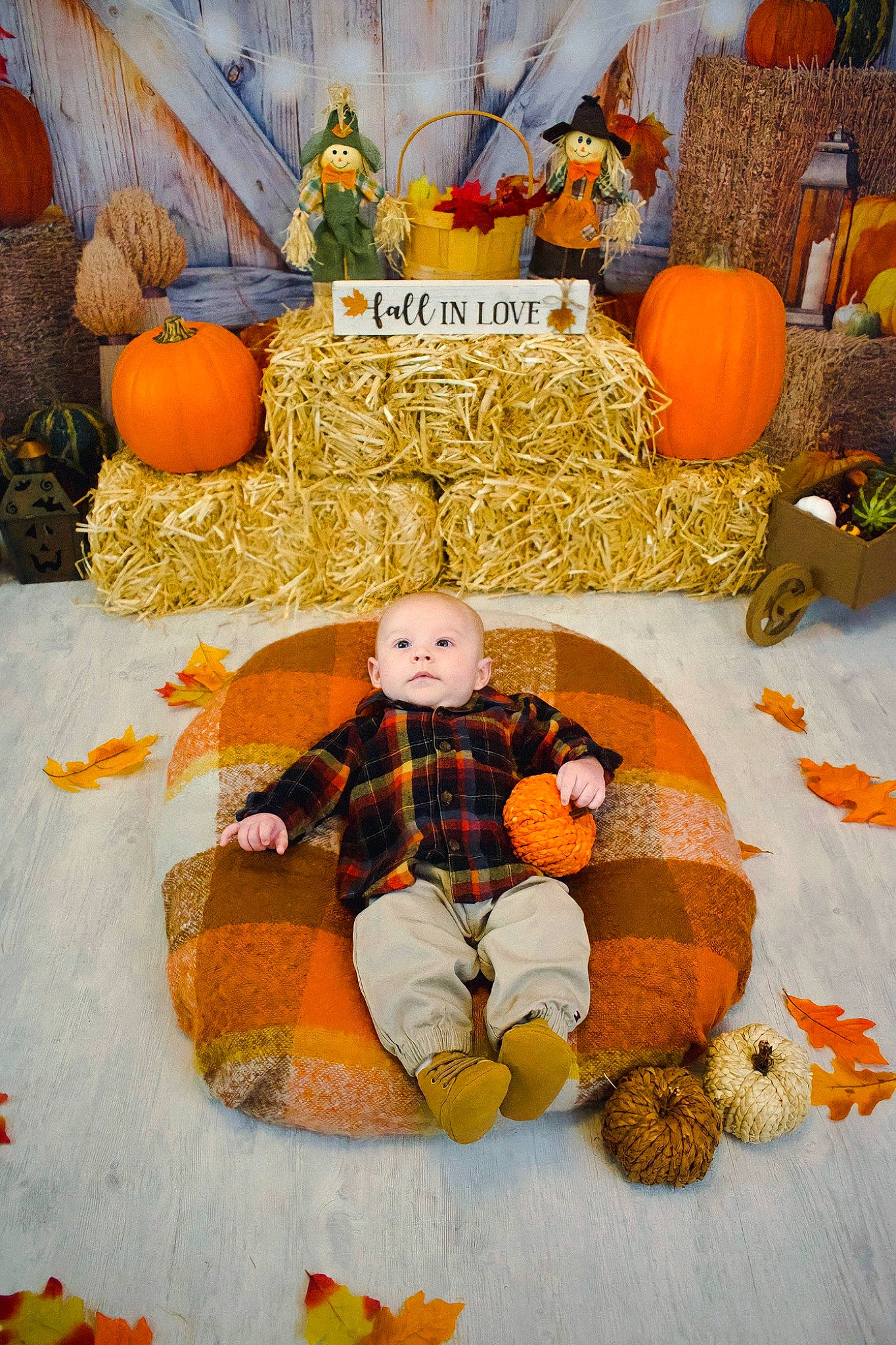 Westyn joined the competition — help win amazing prizes! _and_melon_family, _gourd, art, autumn, calabaza, cucumber, cucurbita, gourd, grass, leaf, local_food, natural_foods, orange, person, plant, produce, pumpkin, squash, tradition, tree