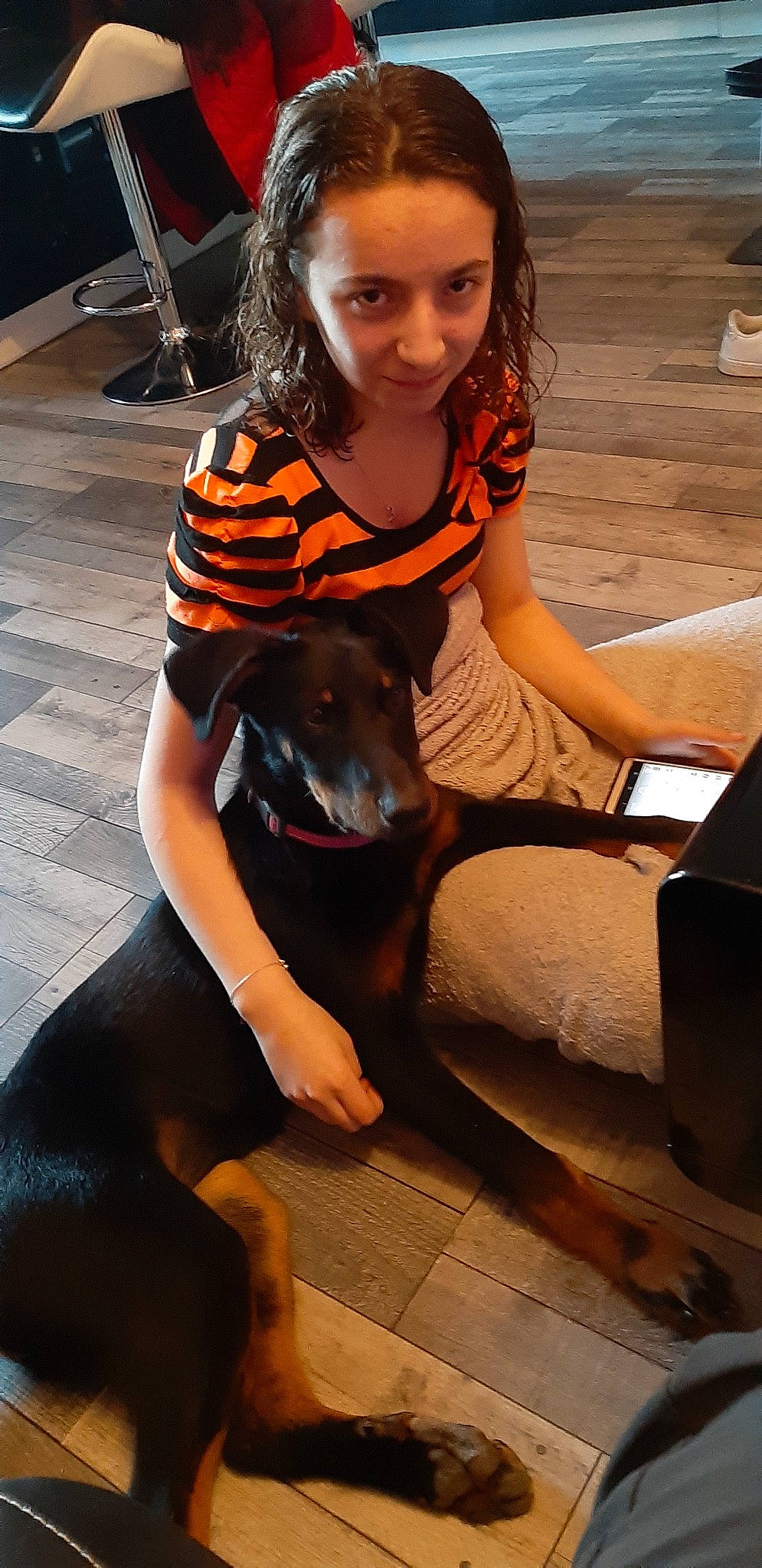 Phoenix a rejoint le concours — aidez-le/la à gagner de superbes lots ! canidae, carnivore, companion_dog, dog, dog_breed, fawn, guard_dog, miniature_pinscher, pinscher, toy_manchester_terrier