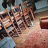 cat, kitten, indoors, dining_room, chairs, wooden_furniture, tiled_floor, mounted_deer, taxidermy, living_room, kitchen, couch, armchair, home_decor, gray_cat, sitting, floor, bottles, rustic, tilted_photo