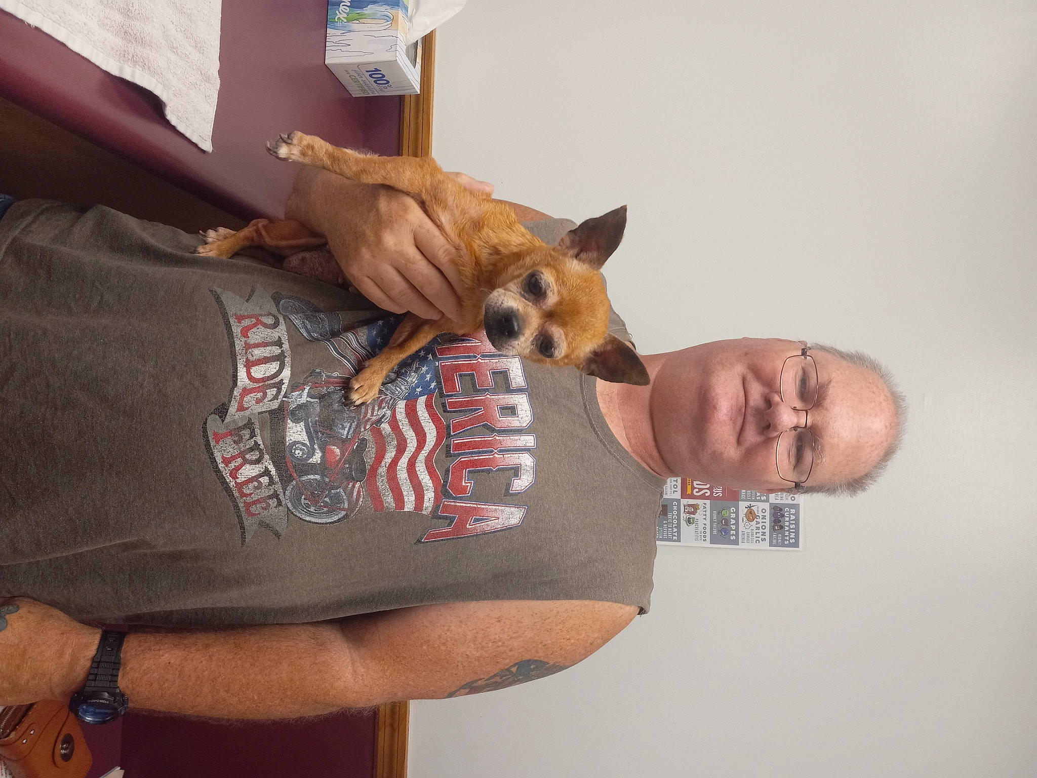 Tinkerbell is registered to the contest to win money with this photo: abdomen, belt, canidae, carnivore, comfort, companion_dog, dog, dog_breed, elbow, eyewear, fawn, fur, smile, snout, sunglasses, t_shirt, thigh, toy_dog, trunk, watch