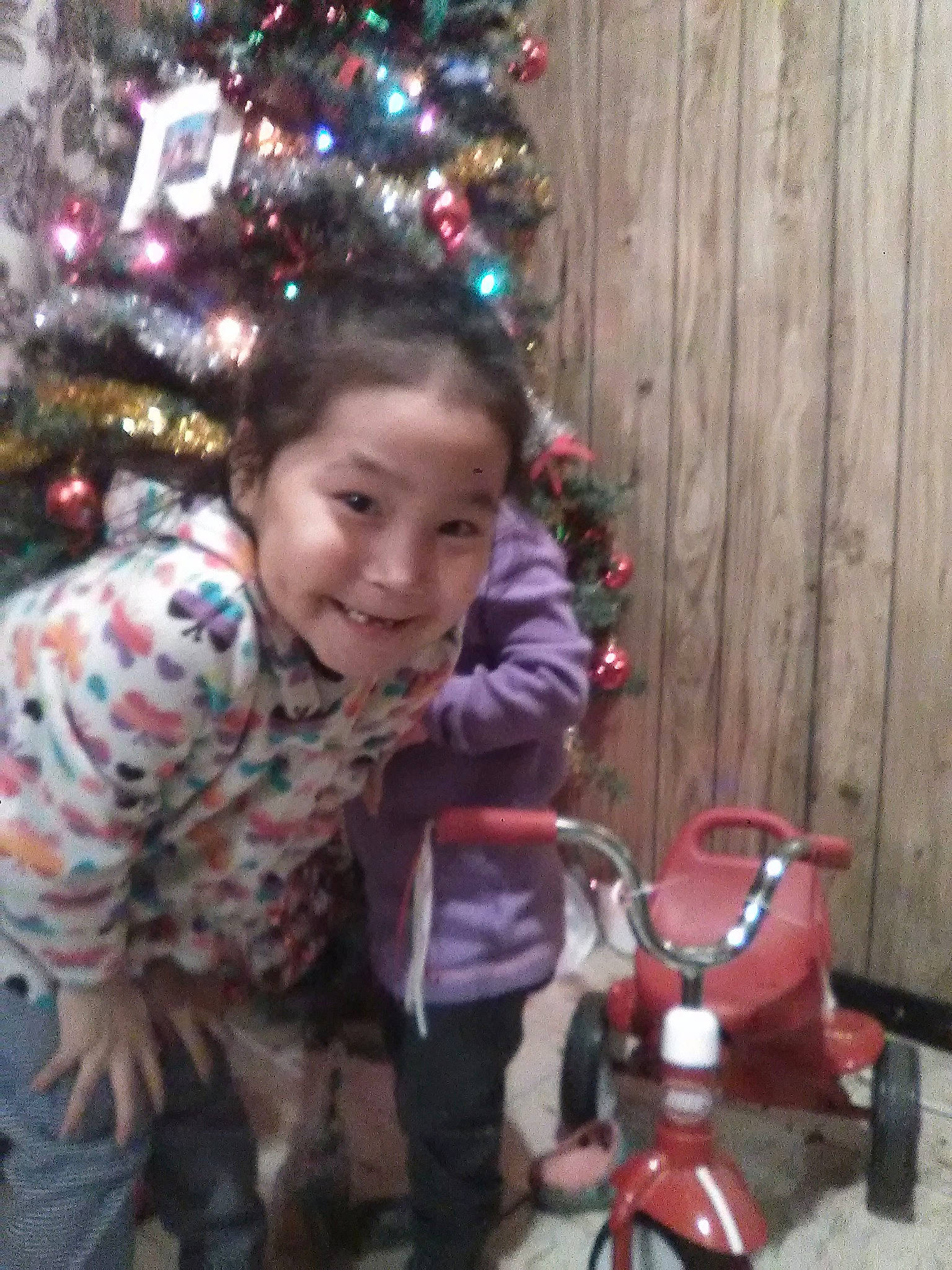 Nicolette is registered to the contest to win money with this photo: child, christmas, christmas_decoration, christmas_eve, christmas_ornament, christmas_tree, event, fir, happy, holiday, interior_design, joy, person, smile, toddler, tree