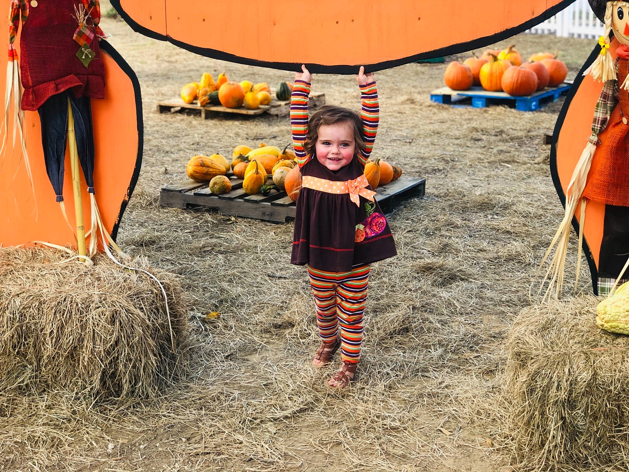 Lydia Starr is registered to the contest to win money with this photo: agriculture, calabaza, cucurbita, fun, gourd, grass, happy, joy, leisure, natural_foods, orange, people_in_nature, person, plant, pumpkin, smile, soil, squash, toddler, vegetable