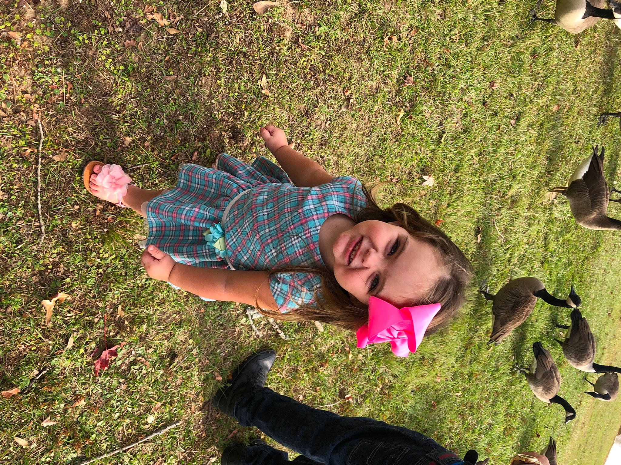 Lydia Starr is registered to the contest to win money with this photo: adaptation, fun, garden, grass, grass_family, grassland, groundcover, happy, joy, landscape, lawn, leaf, leisure, meadow, people_in_nature, person, plant, recreation, shrub, smile