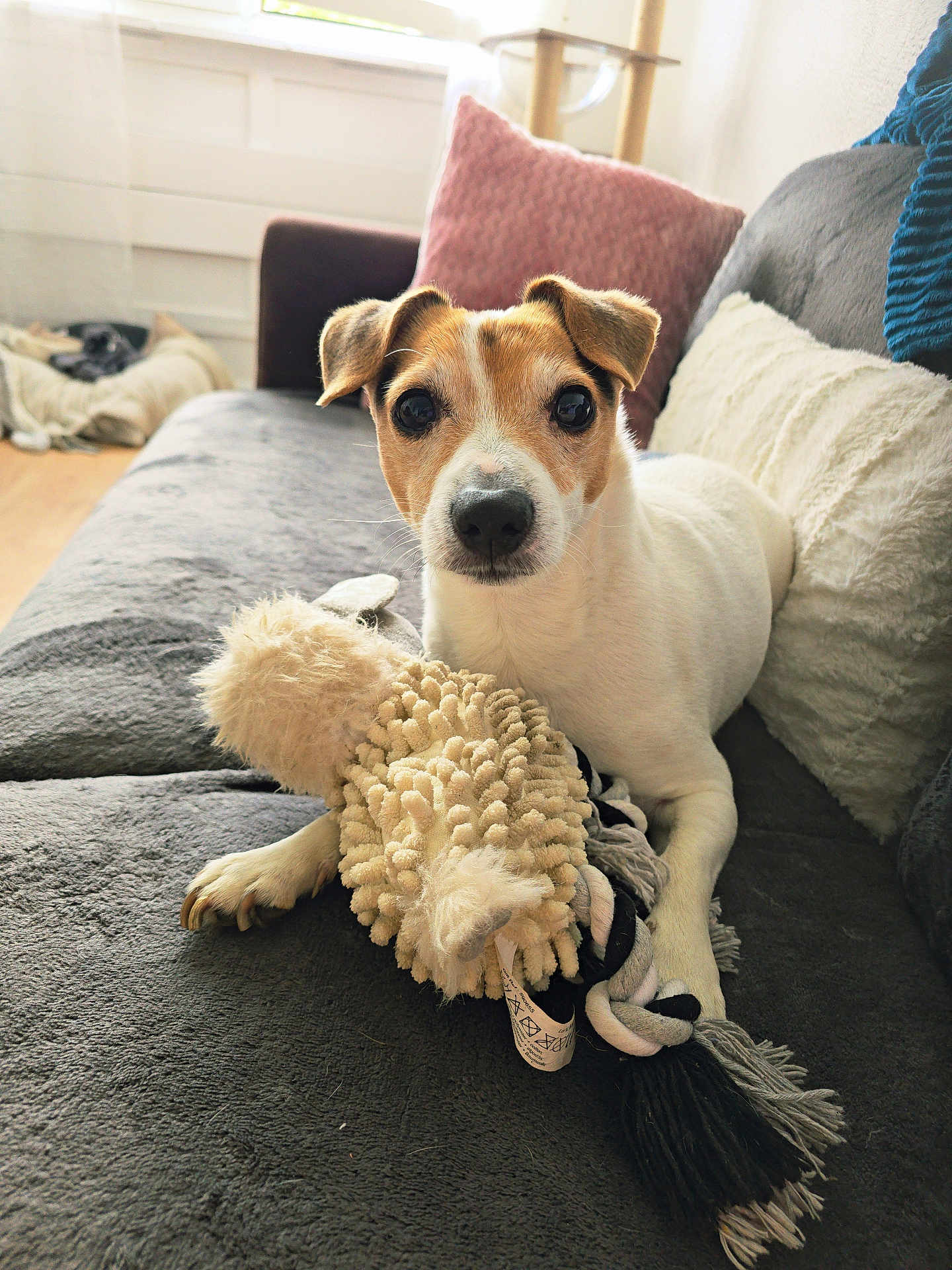 Milo