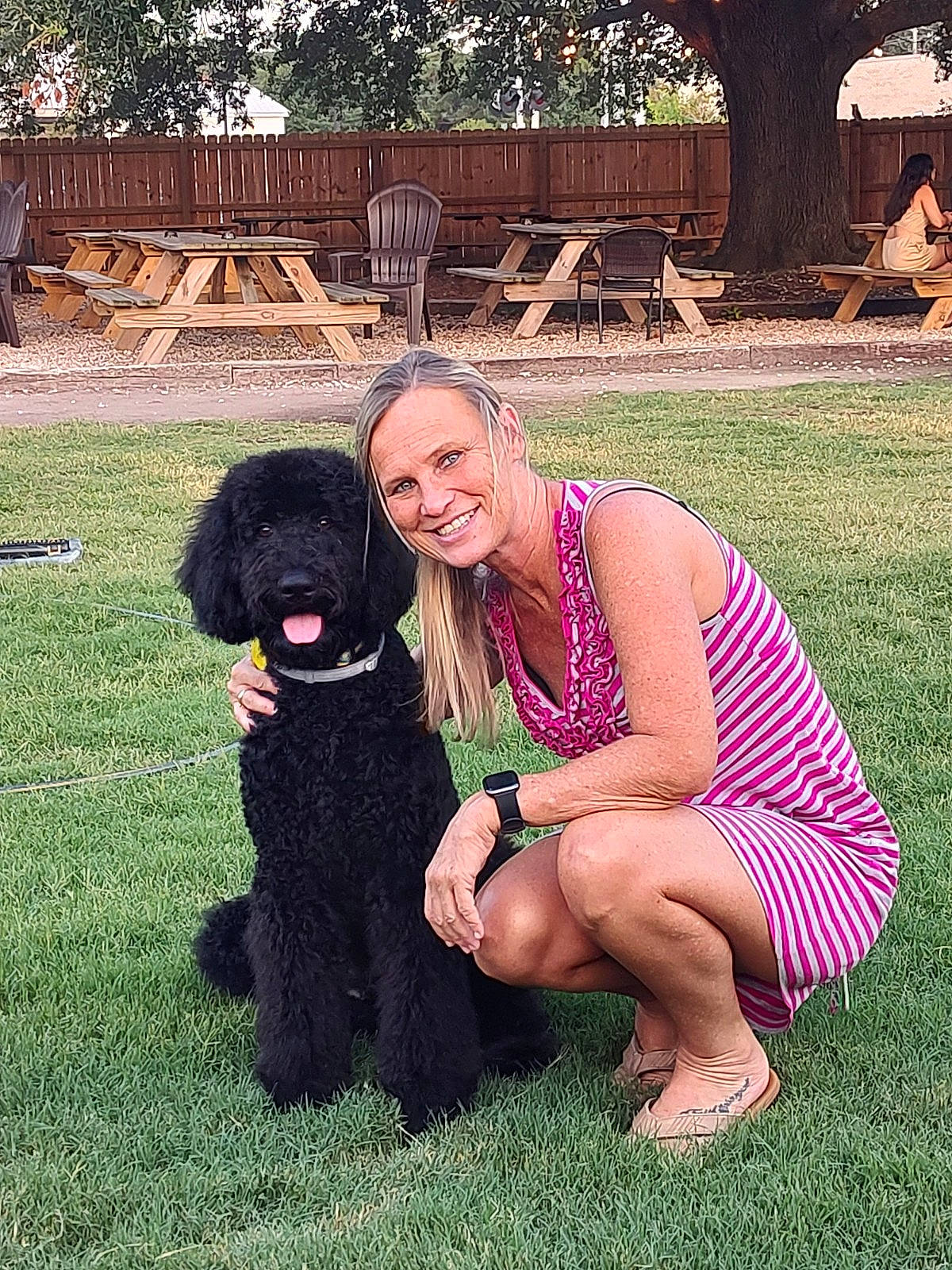Beau Thomas Hill joined the competition — help win amazing prizes! bench, carnivore, companion_dog, dog, dog_breed, event, fun, grass, happy, leisure, plant, poodle, sandal, sitting, smile, sporting_group, sunglasses, thigh, tree, water_dog