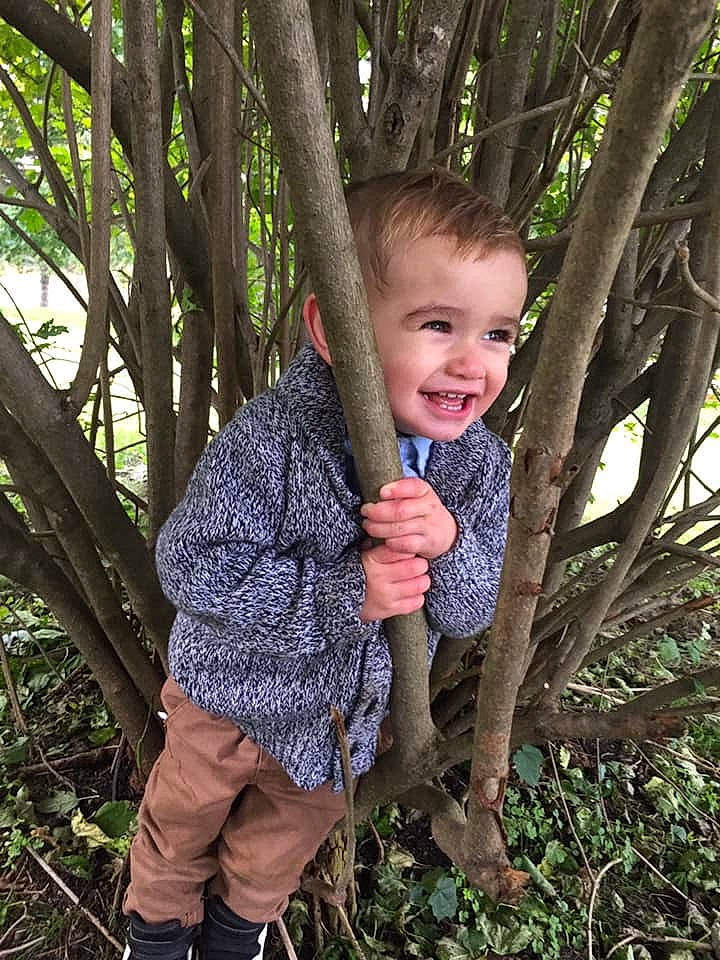 Mateo joined the competition — help win amazing prizes! branch, child, child_model, joy, outerwear, person, photography, plant, smile, toddler, tree, woodland