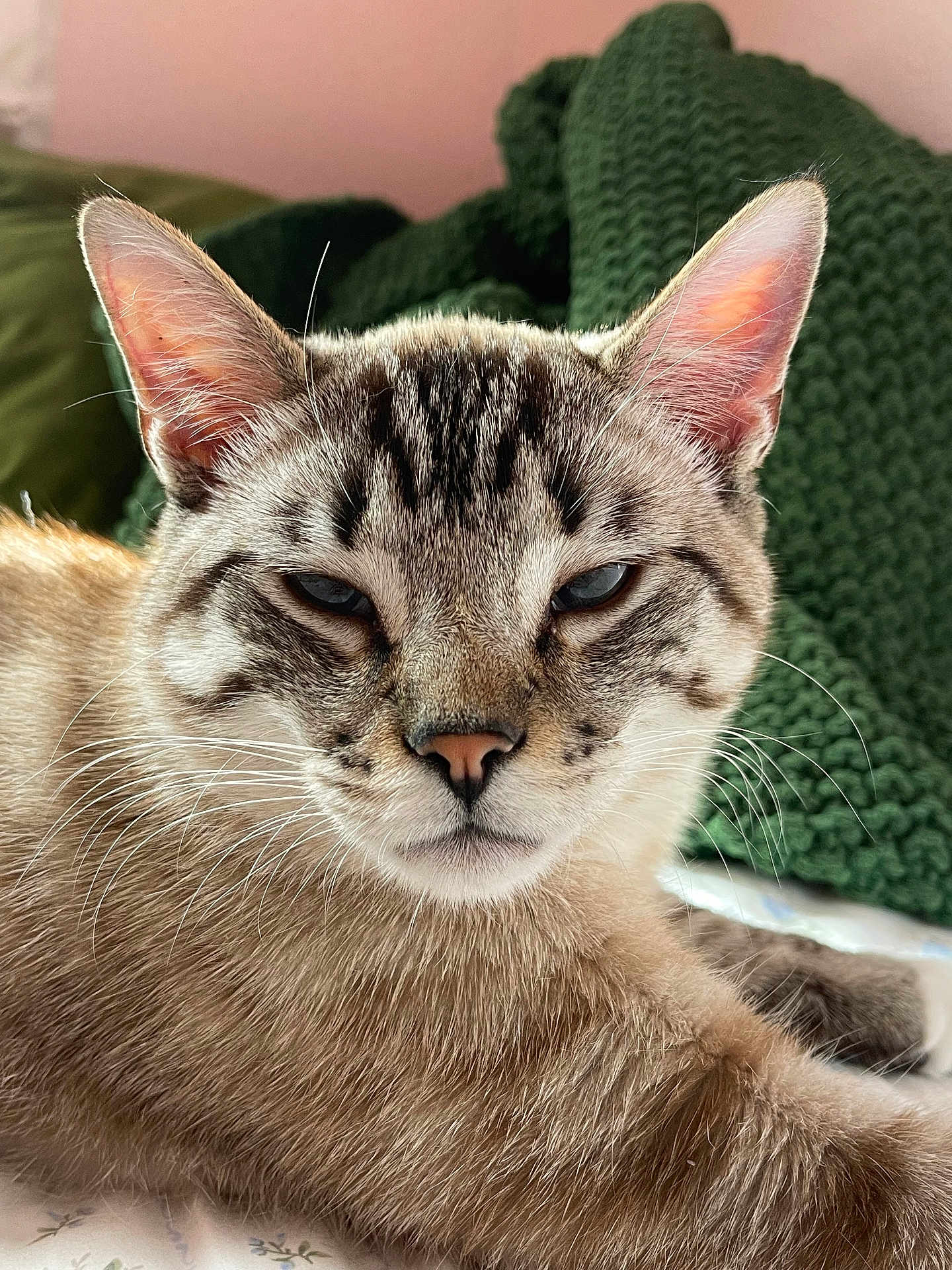 Bowie