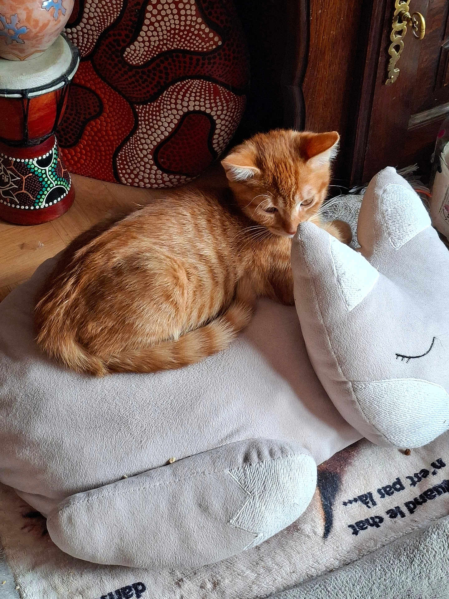Bob a rejoint le concours — aidez-le/la à gagner de superbes lots ! kitten, cat, plush_pillow, orange_tabby, indoor, wooden_floor, decorative_vase, furniture, curious, soft_texture, cozy, resting, pet, animal, cute, domestic_cat, small, relaxed, home, pillow