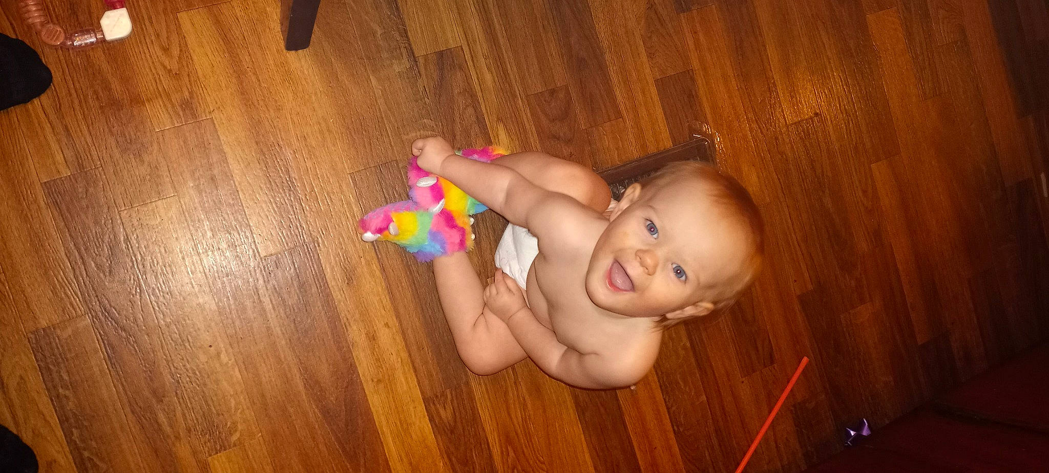 Everest joined the competition — help win amazing prizes! arm, baby, cheek, fawn, flash_photography, floor, flooring, happy, hardwood, iris, leg, mouth, nail, nose, person, skin, smile, thumb, toddler, wood