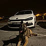 dog, german_shepherd, car, volkswagen, white_car, night, parking_lot, pavement, shadow, leash, sitting, tongue_out, streetlights, urban, outdoor, vehicle, pet, canine, parked_car, happy_dog