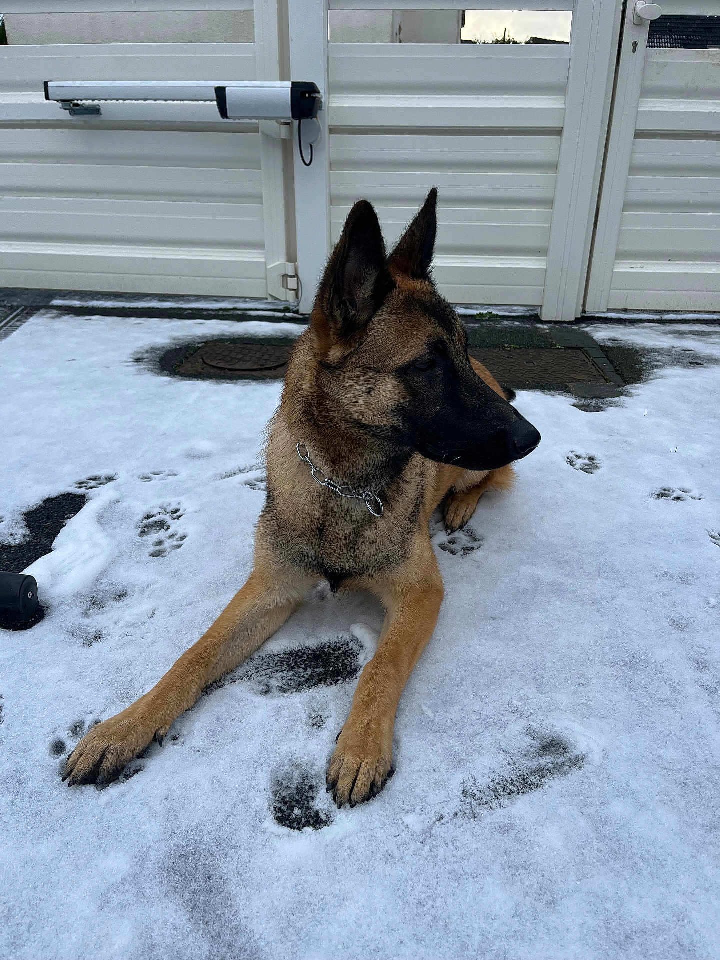 Ayko