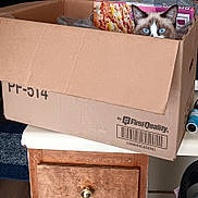 Chloe joined the competition — help win amazing prizes! cat, cat_face, blue_eyes, cardboard_box, pizza_box, packing_material, box_flap, drawer, wooden_drawer, knob, barcode, brand_logo, indoor, furniture, countertop, carpet, packing_tape, peeking, curious, household_item