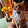 Mr Ollie Purrs