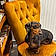 Pixel