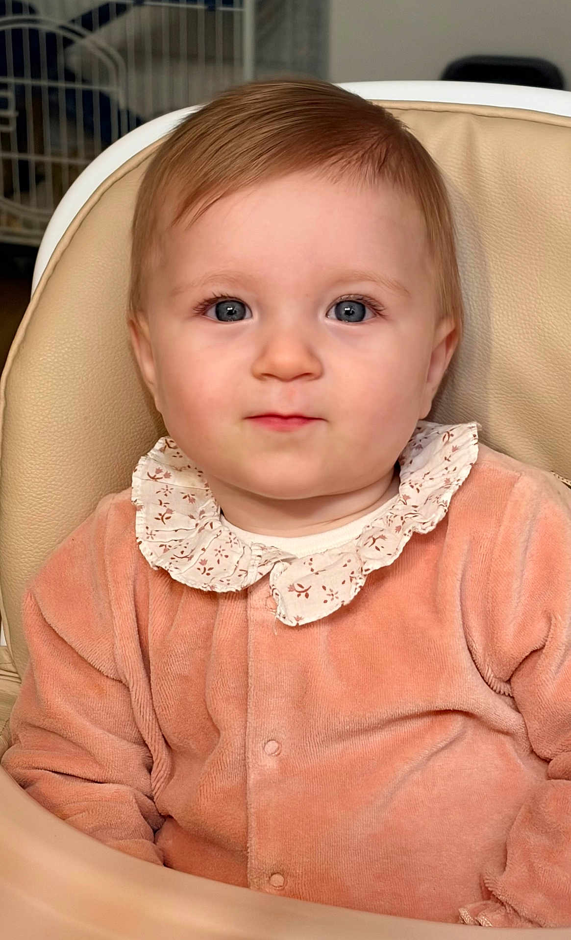 éléa participe au concours pour gagner de l'argent avec cette photo : baby, child, close_up, blue_eyes, peach_clothing, ruffled_collar, high_chair, indoor, infant, cute, portrait, soft_lighting, young_child, sitting, face, person, apparel, warm_colors, skin, head
